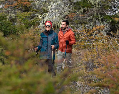 2 people kiking in the patagonian forest