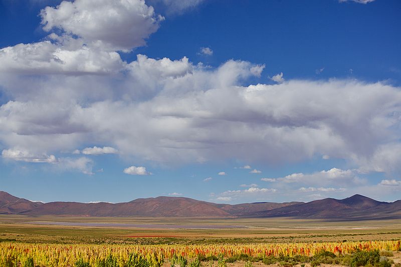 Chiuca Uyuni Salt Flat