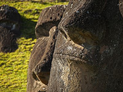 Easter Island Logde Expertise