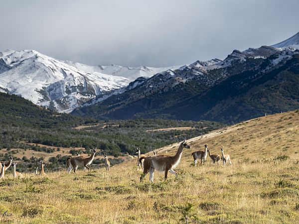 our project torres del paine explora conservation reserve