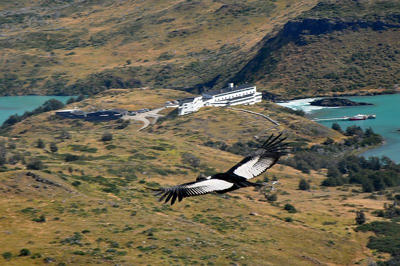 Mirador Condor