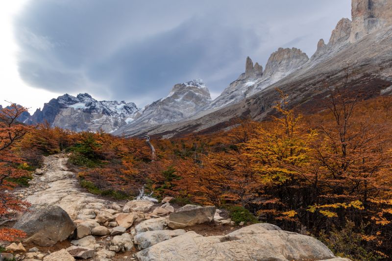 Plateau