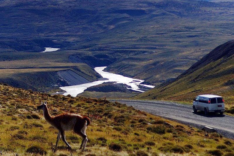 ESTEPA PATAGÓNICA