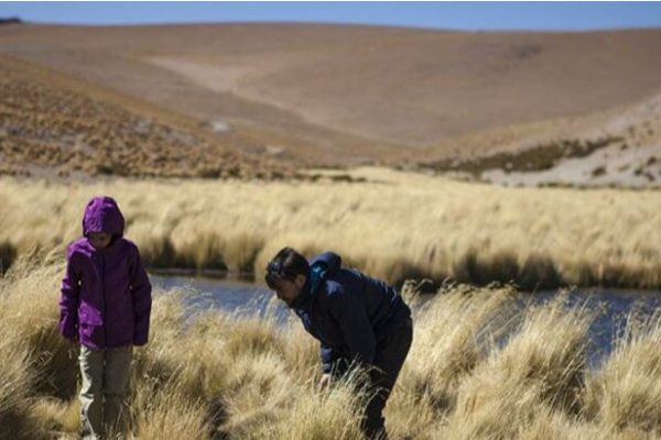 Lagunas Altiplanicas