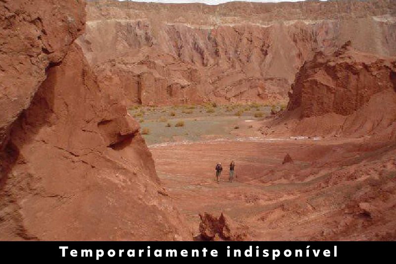 Matancilla