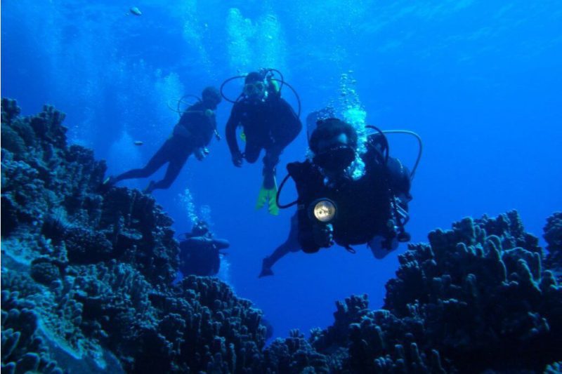 Rapa Nui Diving