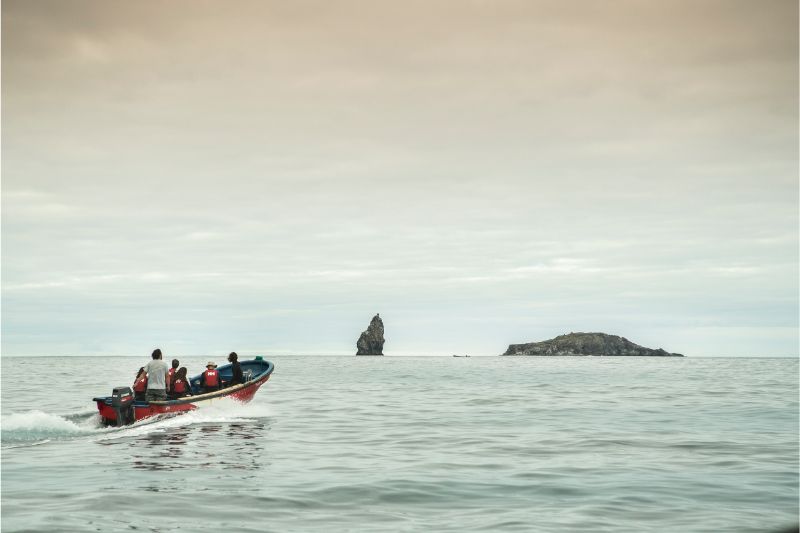 Snorkeling Bird islets