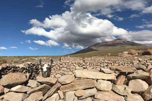 Trayecto Overland Salar