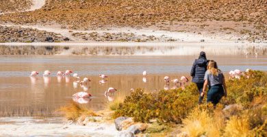 Trayecto Overland Lagunas Altiplanicas