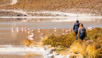 Trayecto Overland Lagunas Altiplanicas