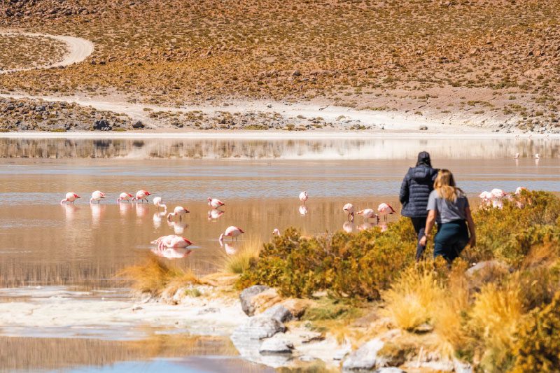 Trayecto Overland Lagunas Altiplanicas
