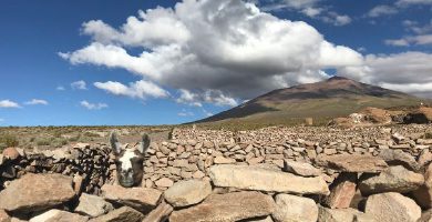 Trayecto Overland Salar