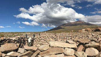 Trayecto Overland Salar