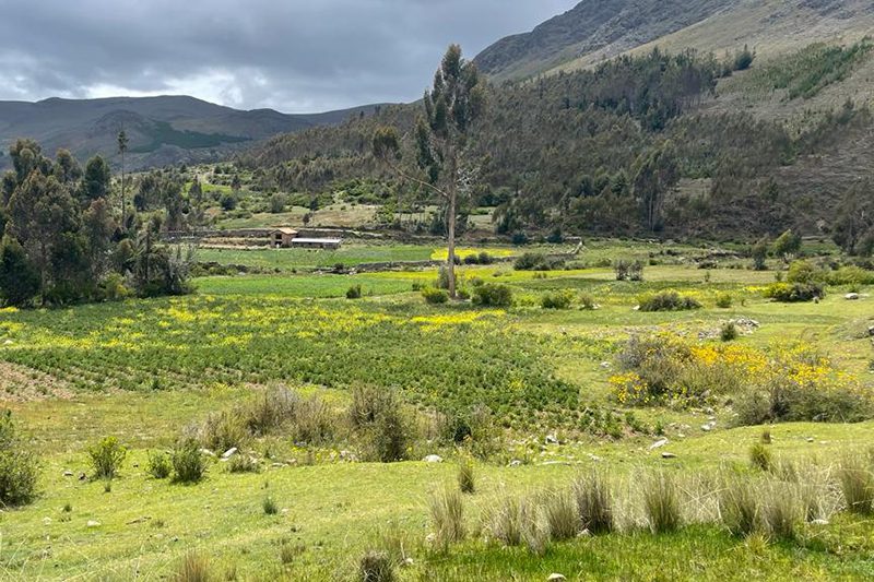 Valle de la Papa