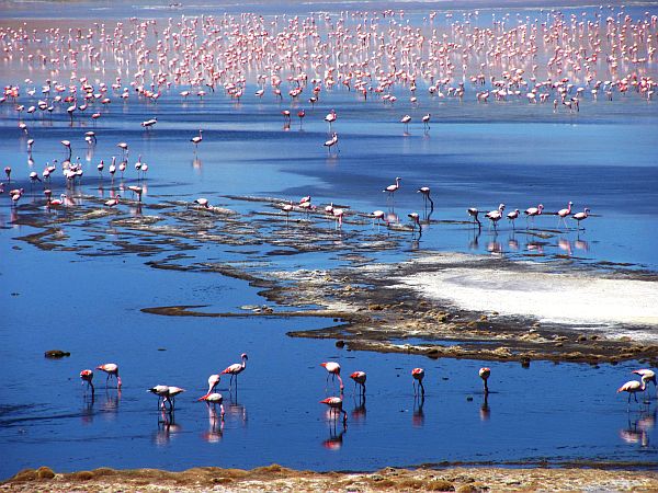 ATACAMA UYUNI TRAVESIA DAY4 LAGOON