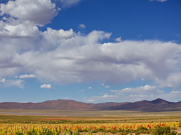 ATACAMA UYUNI TRAVESIA DAY5 RAMADITAS TO CHITUCA