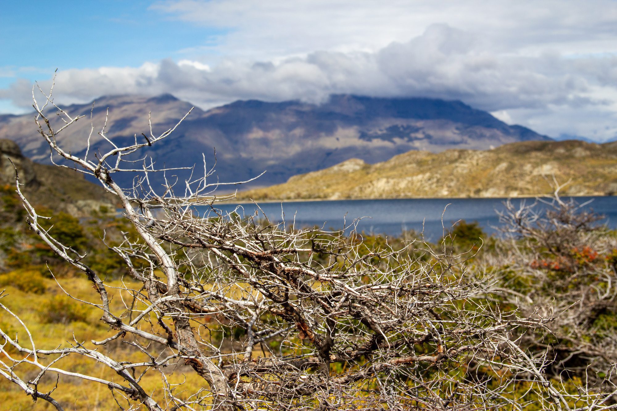 Lago Chico