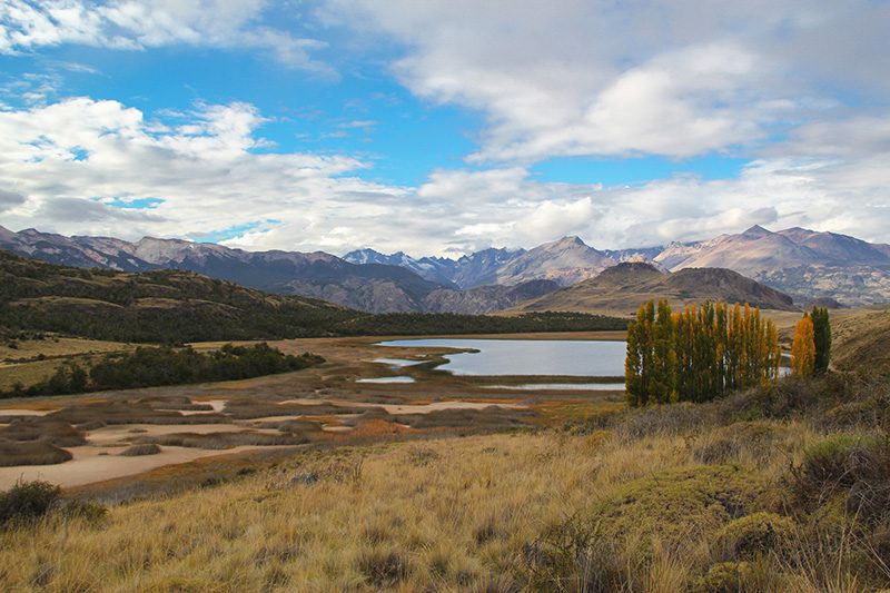 Aves del Valle