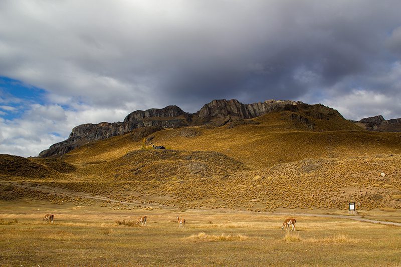 Cañadón Chacabuco