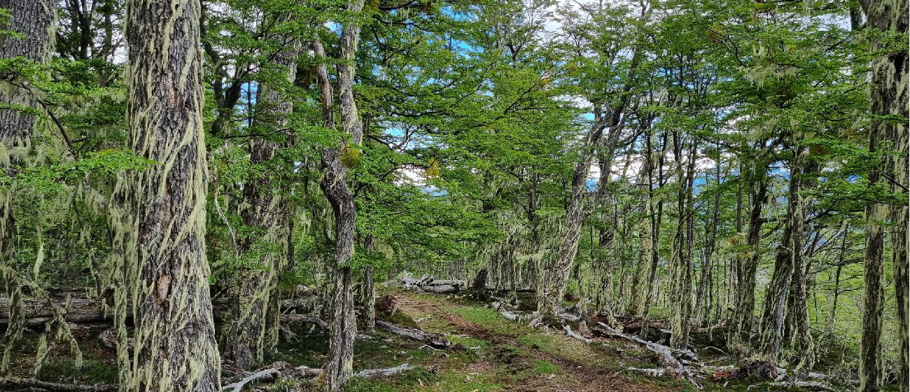 http://Explora%20Lodge,%20Patagonia%20National%20Park_Explorations%20