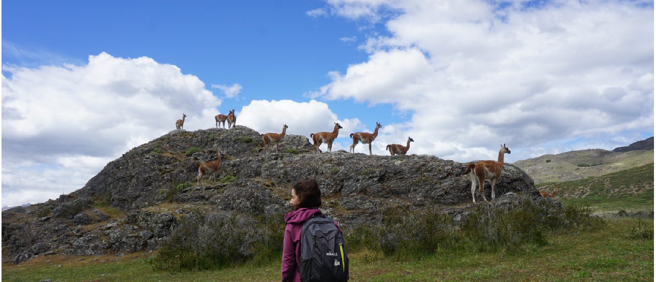 http://Explora%20Lodge,%20Patagonia%20National%20Park_Explorations