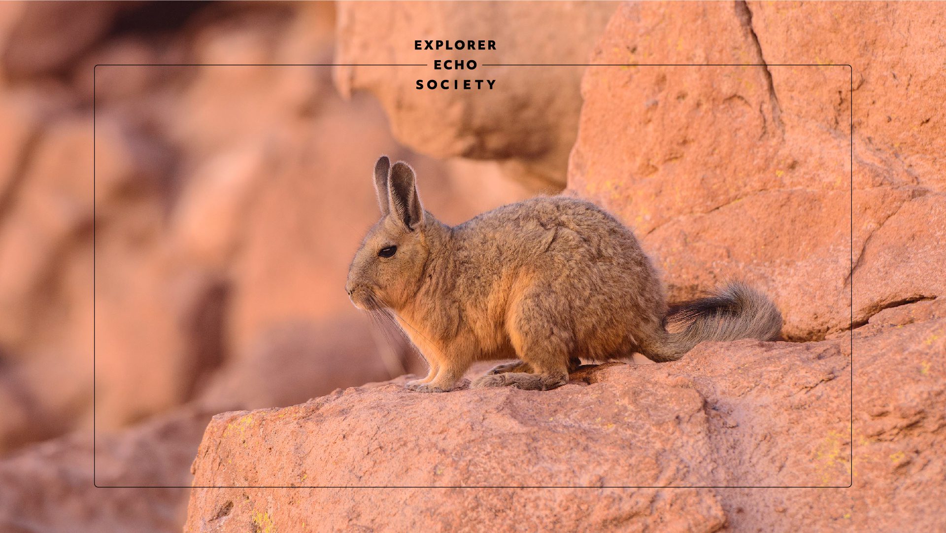 what-is-explorer-echo-society