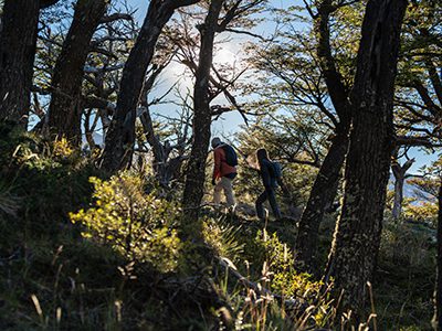 http://argentine-patagonie-el-chalten-explorations-tour