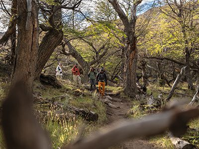 http://argentine-patagonie-el-chalten-explorations-tour