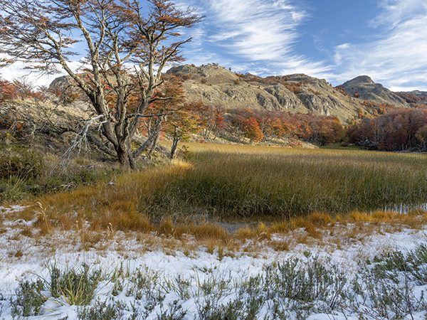 Autumn Patagonia National Park