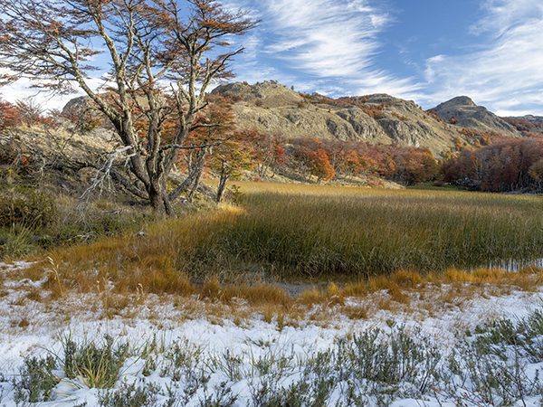 Otoño en Parque Nacional Patagonia