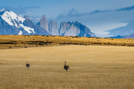 Torres del Paine Conservation Reserve