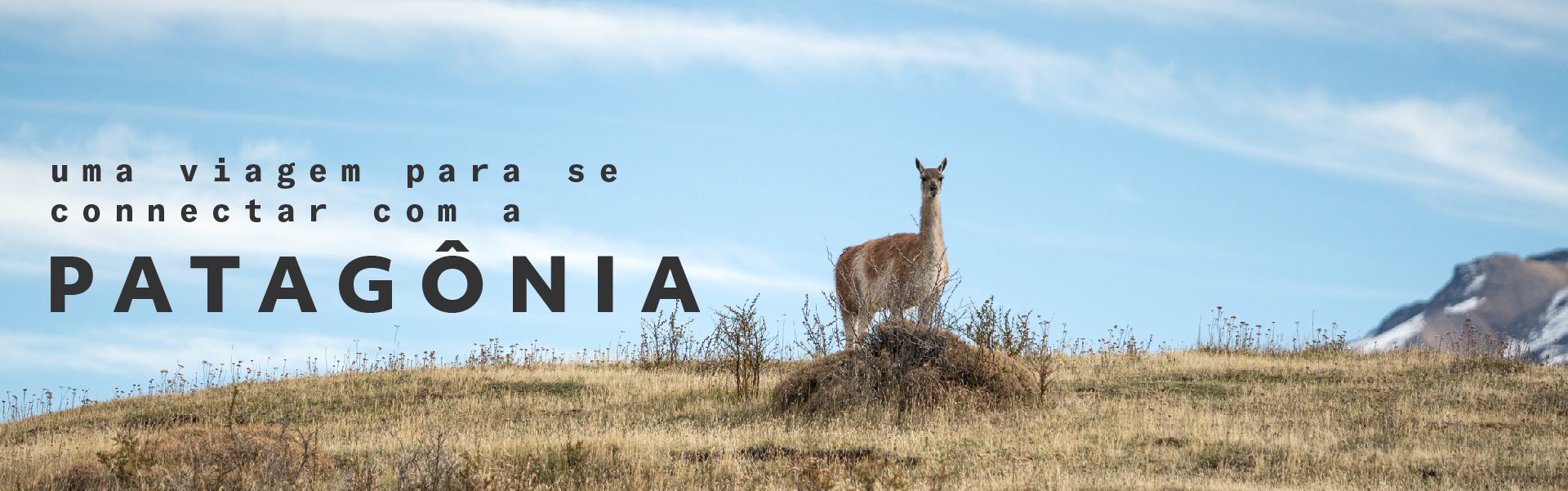 uma viagem para se connectar Patagônia