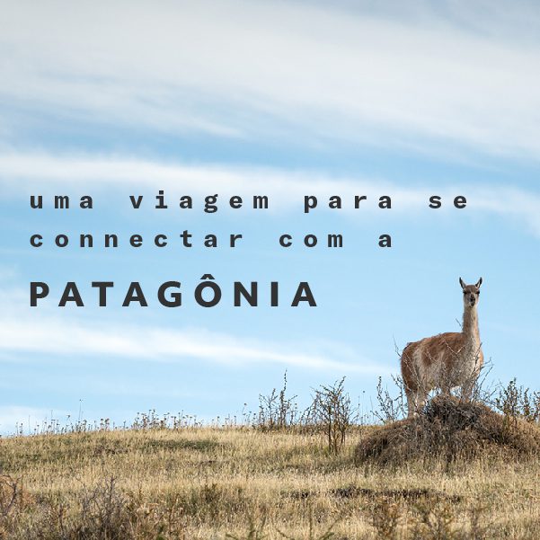 uma viagem para se connectar Patagônia