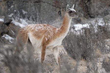 Patagônia no inverno