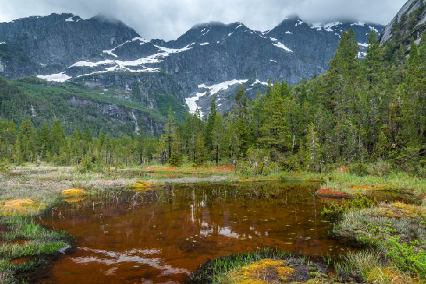 Premiers refuges climatiques