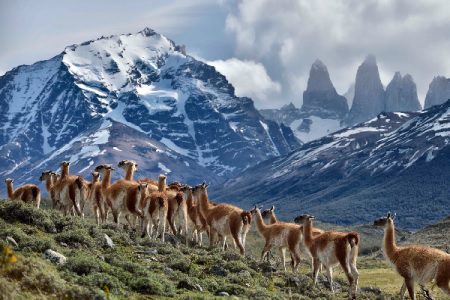 Exploring Torres del Paine