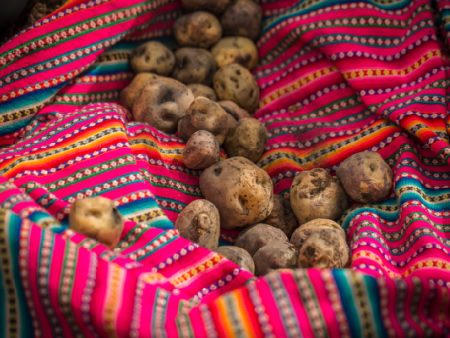 Guiding Sacred Valley