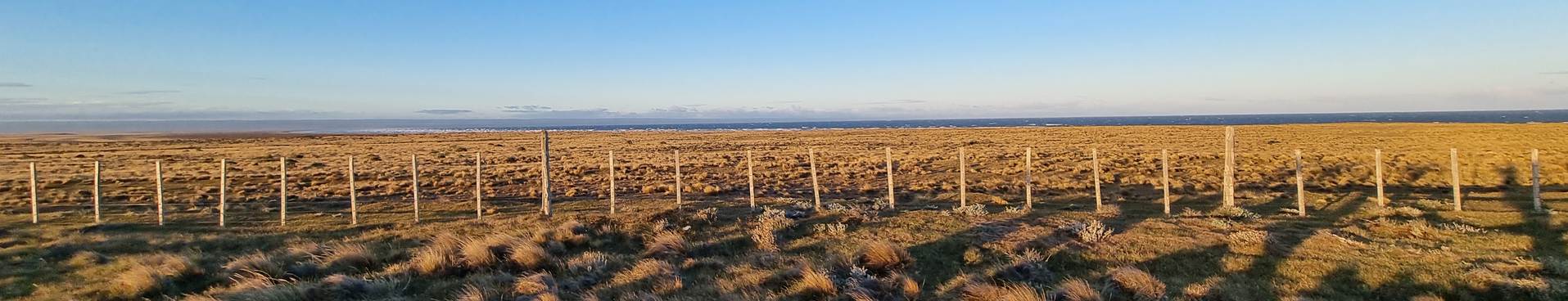 TIERRA FUEGO pampa