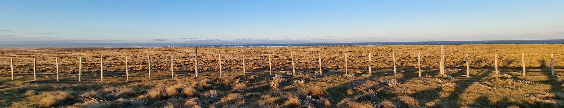 TIERRA FUEGO pampa