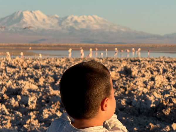 Family with kids in the desert, Explora Atacama family friendly trip. Kid overlooking flamengos.