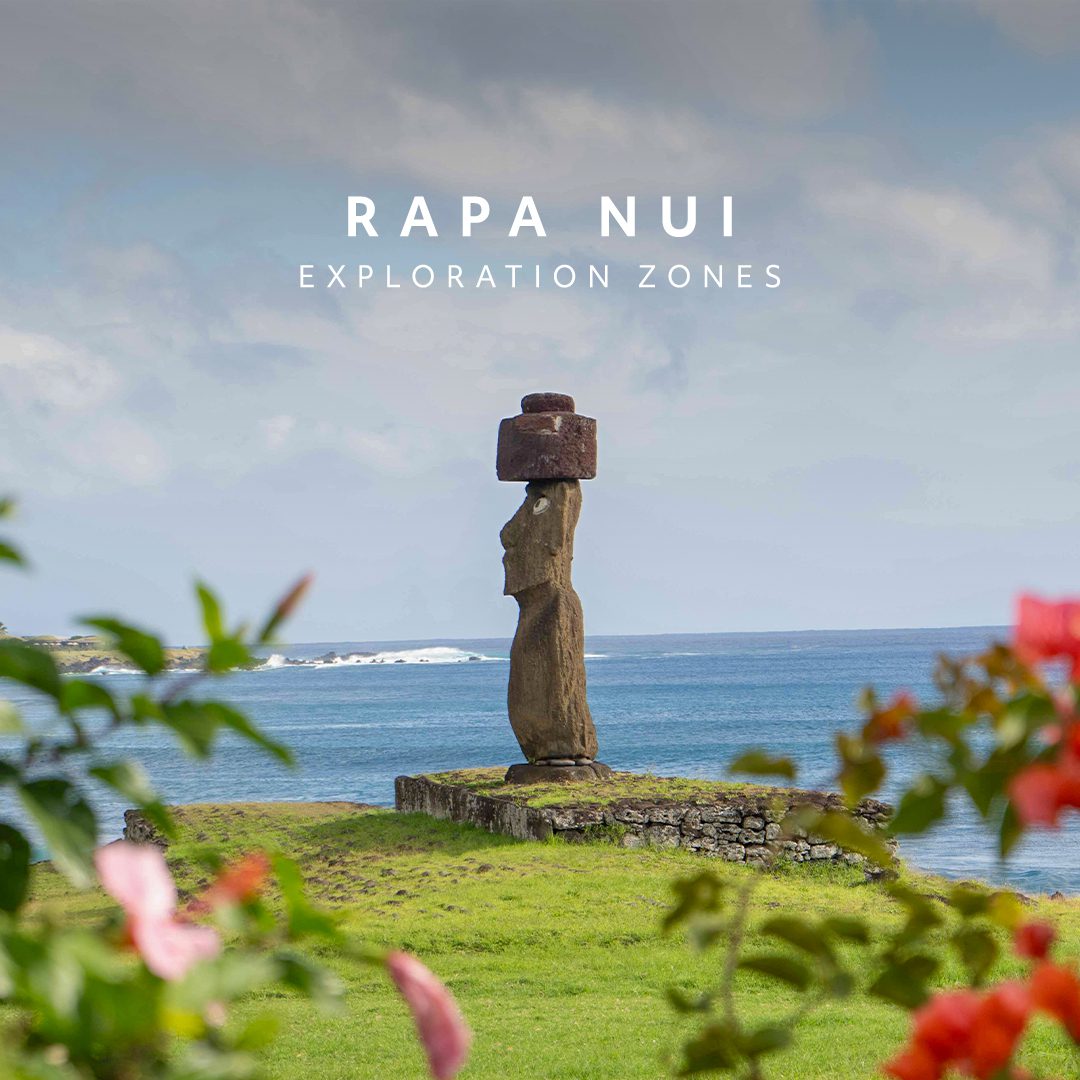Moai statue in Easter Island
