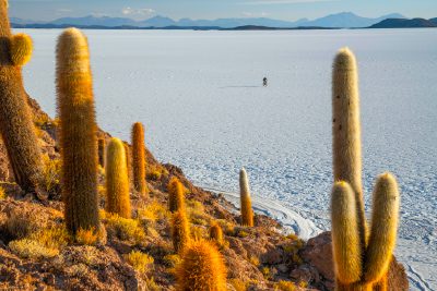 Uyuni Salt Flat, largest salt flat in the world.