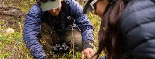 Guide explaining in Patagonia