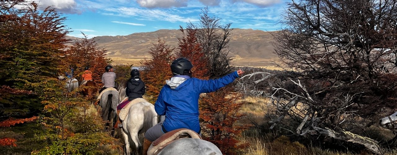 Torres del Paine Conservation Reserve