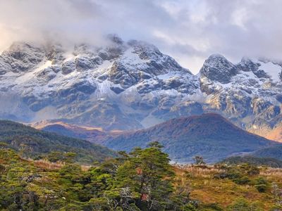 Patagonia lush forests and the Darwin Mountain Range at the backdrop