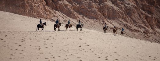 Horseback riding in Atacama Desert.