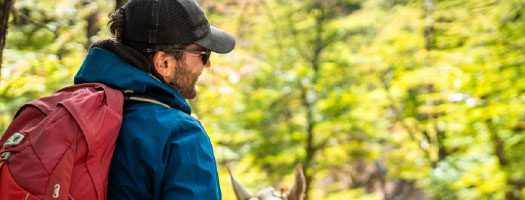 Horse Ride exploration in El Calafate