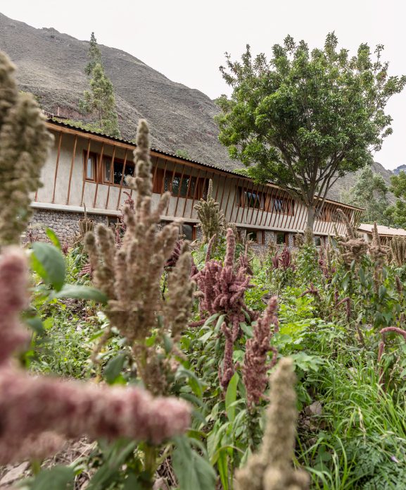 Explora Valle Sagrado lodge surrounded by mountains and lush corn crops set in the Sacred Valley of Peru.
