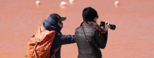 Two people observing and photographing flamingos by a red-hued lagoon.