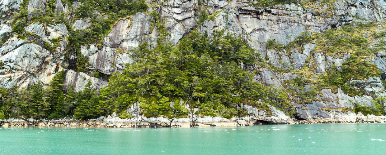 http://A%20rocky%20shoreline%20with%20dense%20green%20trees%20and%20turquoise%20water.